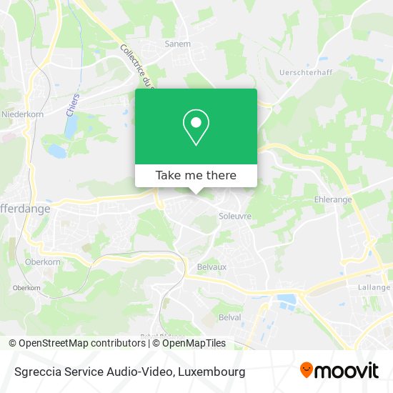Sgreccia Service Audio-Video map