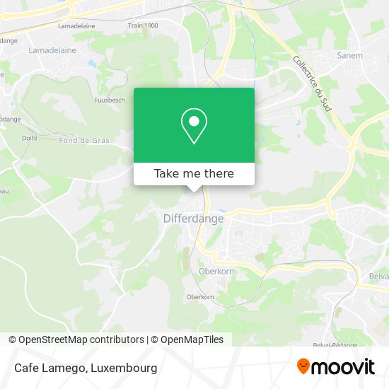 Cafe Lamego map
