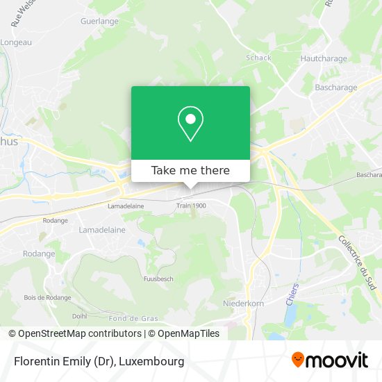 Florentin Emily (Dr) map