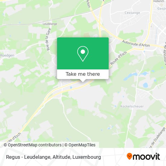 Regus - Leudelange, Altitude map