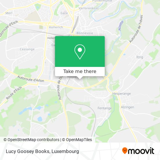 Lucy Goosey Books map