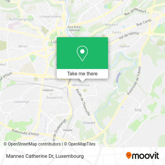 Mannes Catherine Dr map