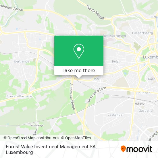 Forest Value Investment Management SA map