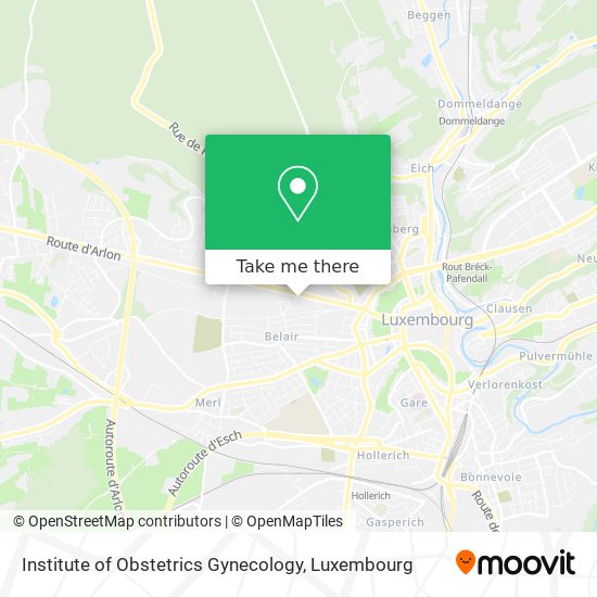 Institute of Obstetrics Gynecology map
