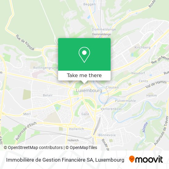 Immobilière de Gestion Financière SA map