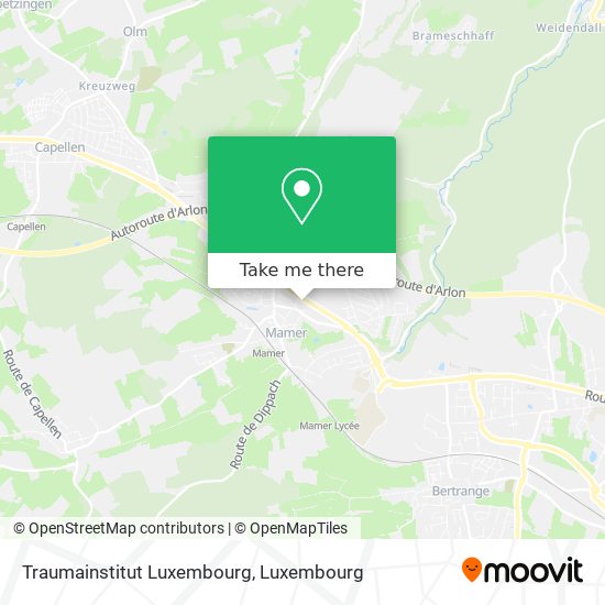 Traumainstitut Luxembourg map