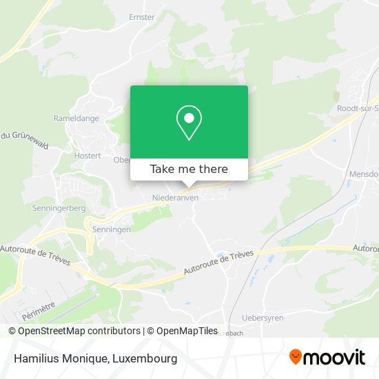 Hamilius Monique map