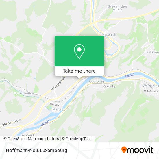 Hoffmann-Neu map