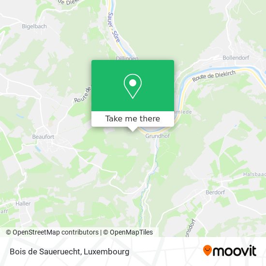 Bois de Saueruecht map