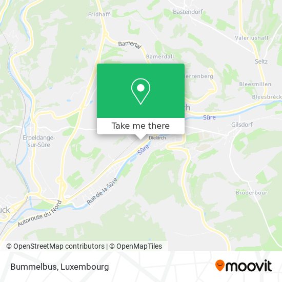 Bummelbus map