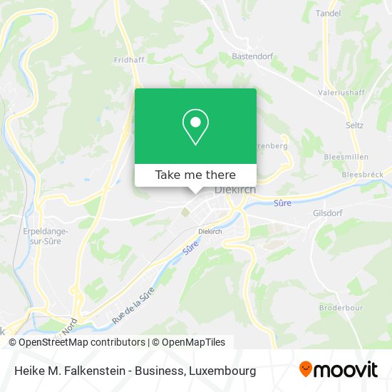 Heike M. Falkenstein - Business map