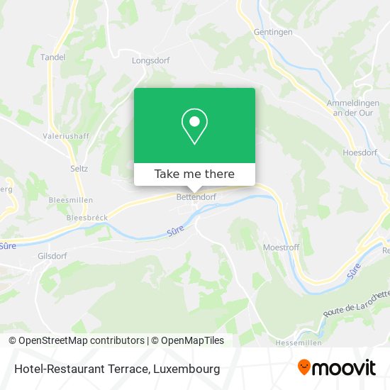 Hotel-Restaurant Terrace Karte