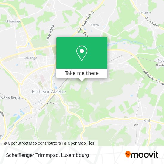 Schefflenger Trimmpad map