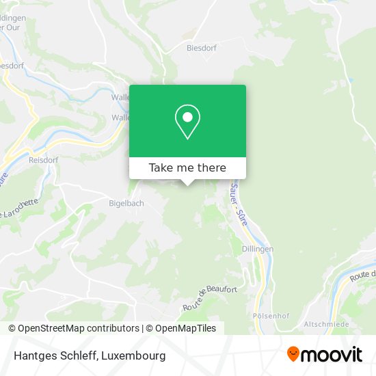 Hantges Schleff map