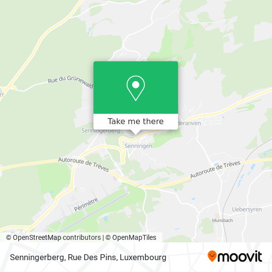 Senningerberg, Rue Des Pins map