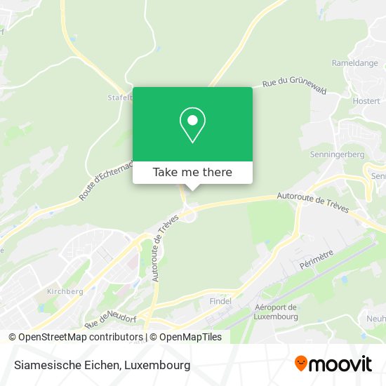 Siamesische Eichen map