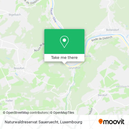 Naturwaldreservat Saueruecht map