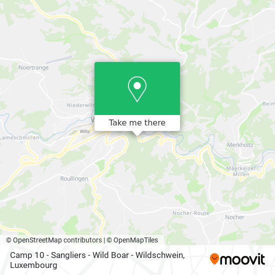 Camp 10 - Sangliers - Wild Boar - Wildschwein Karte