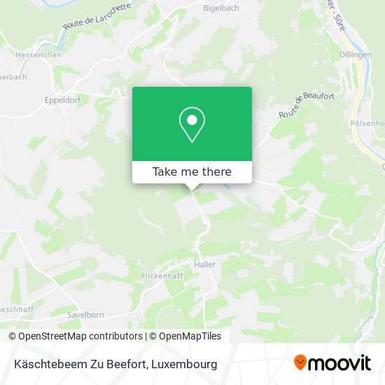 Käschtebeem Zu Beefort map