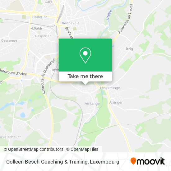 Colleen Besch-Coaching & Training map