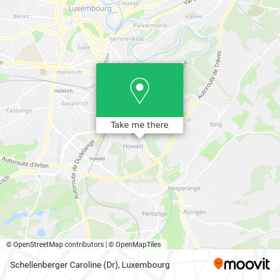 Schellenberger Caroline (Dr) map