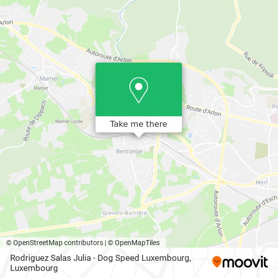 Rodriguez Salas Julia - Dog Speed Luxembourg Karte