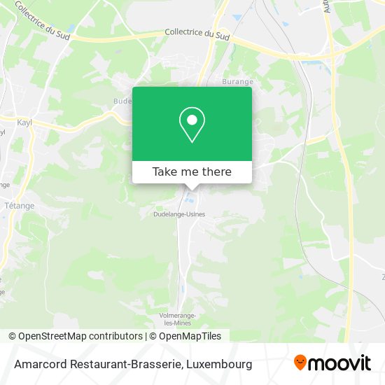 Amarcord Restaurant-Brasserie map
