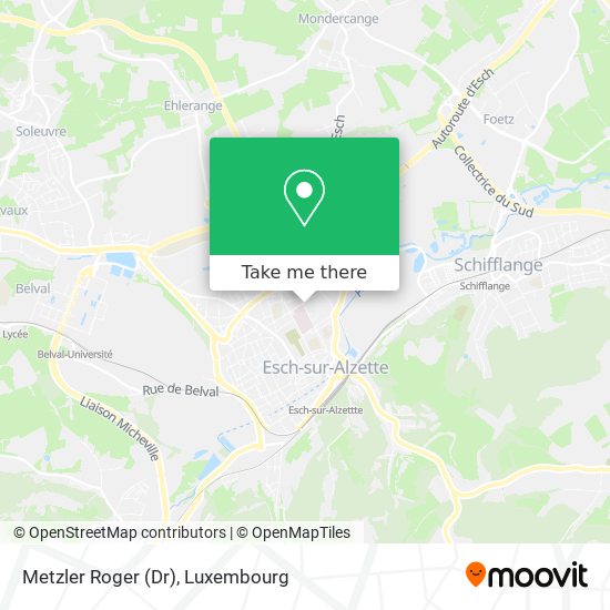 Metzler Roger (Dr) map