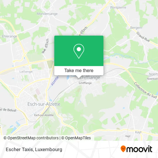 Escher Taxis map