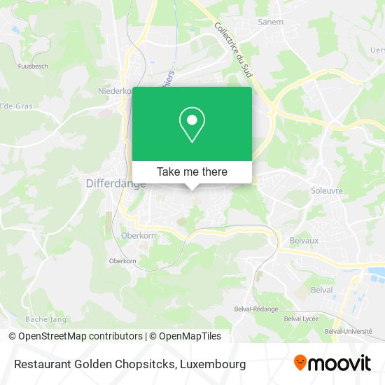 Restaurant Golden Chopsitcks Karte