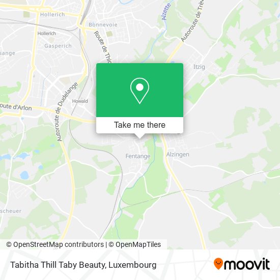 Tabitha Thill Taby Beauty map