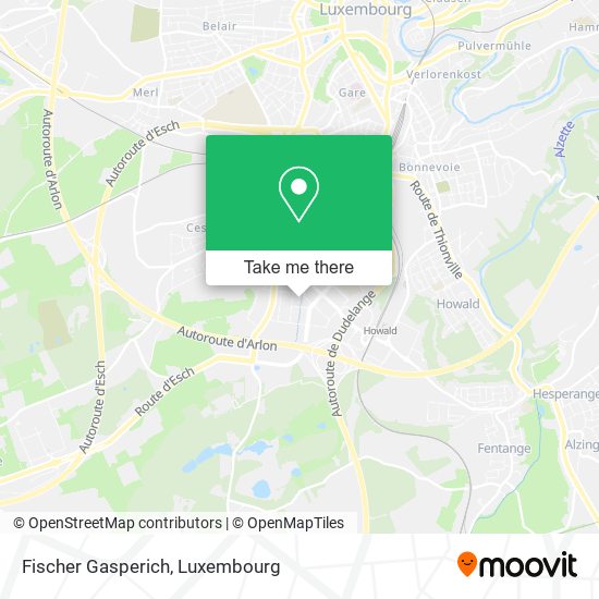 Fischer Gasperich map