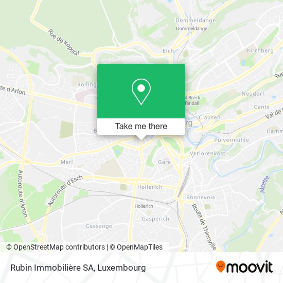 Rubin Immobilière SA map