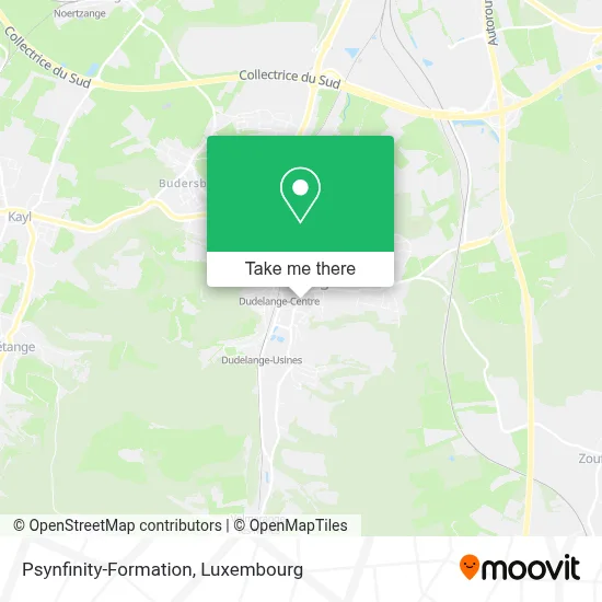 Psynfinity-Formation map