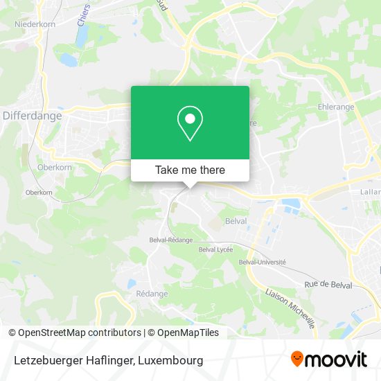 Letzebuerger Haflinger map
