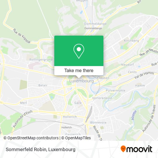 Sommerfeld Robin map