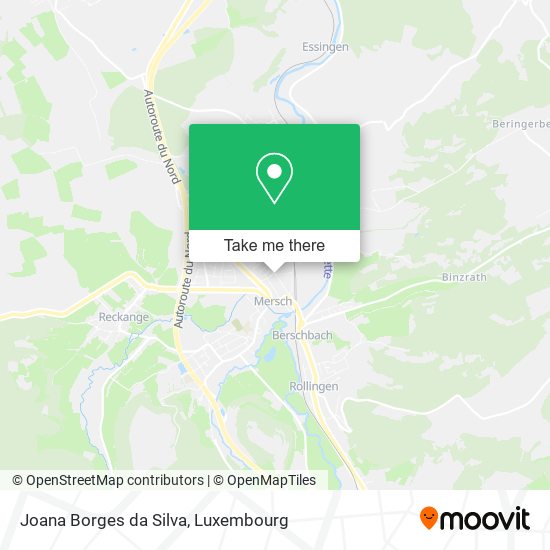 Joana Borges da Silva map
