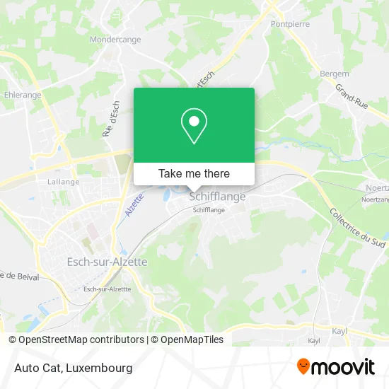 Auto Cat map