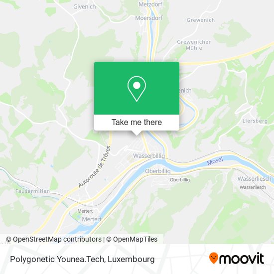 Polygonetic Younea.Tech map