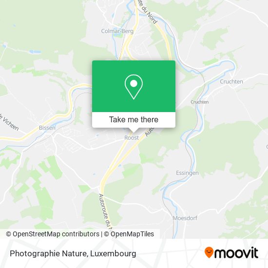 Photographie Nature map