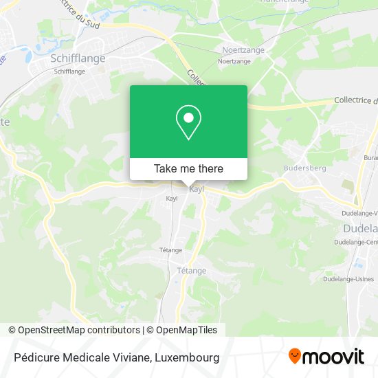 Pédicure Medicale Viviane map