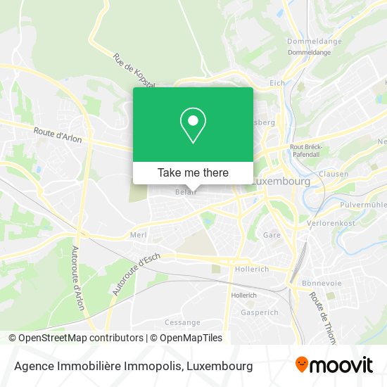 Agence Immobilière Immopolis Karte
