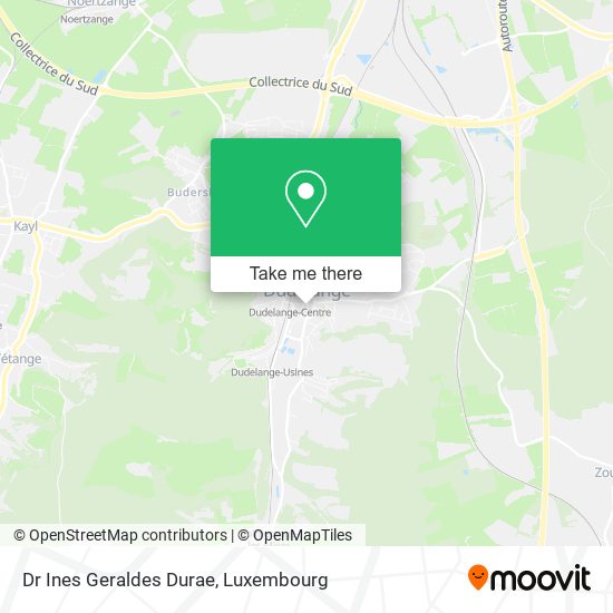 Dr Ines Geraldes Durae map