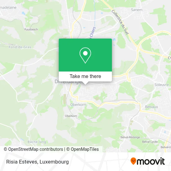 Risia Esteves map