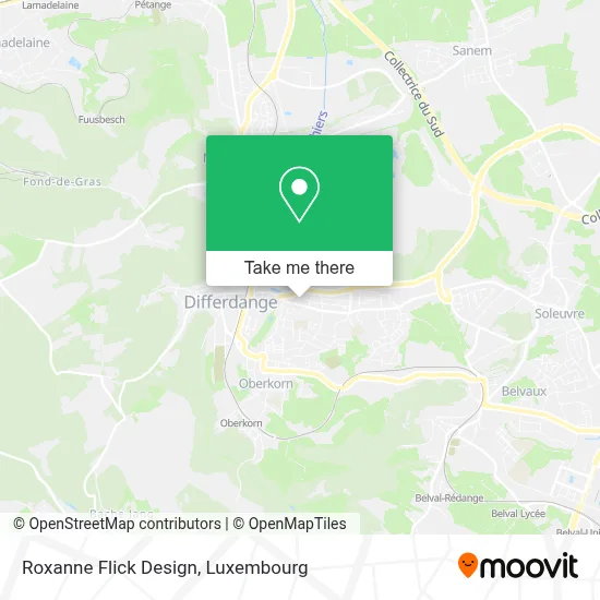 Roxanne Flick Design map