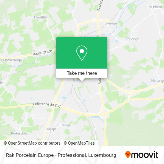 Rak Porcelain Europe - Professional map