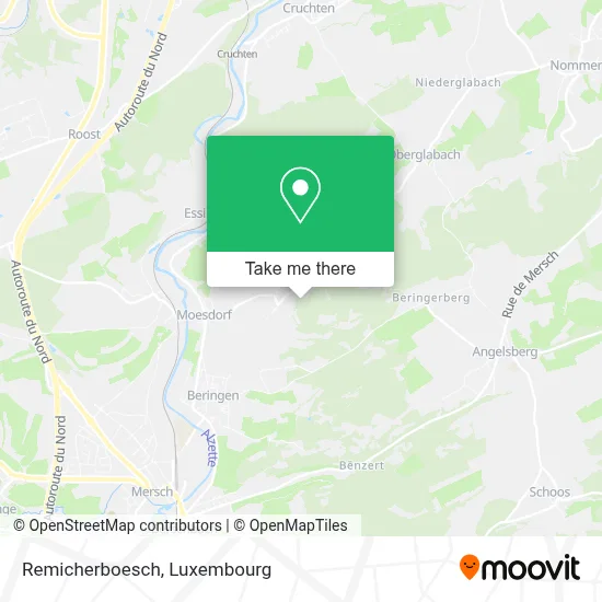Remicherboesch map