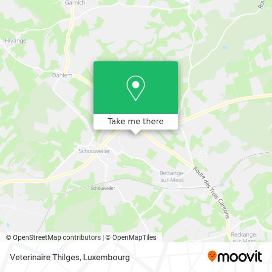 Veterinaire Thilges map