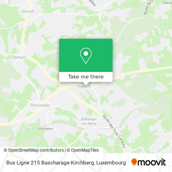 Bus Ligne 215 Bascharage-Kirchberg Karte