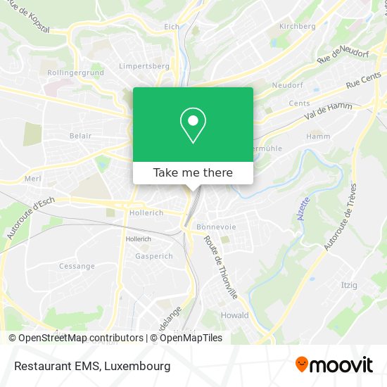 Restaurant EMS map